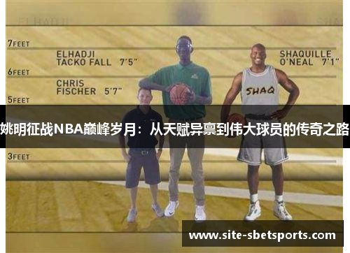 姚明征战NBA巅峰岁月：从天赋异禀到伟大球员的传奇之路
