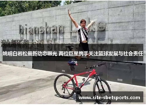 姚明白岩松最新动态曝光 两位巨星携手关注篮球发展与社会责任