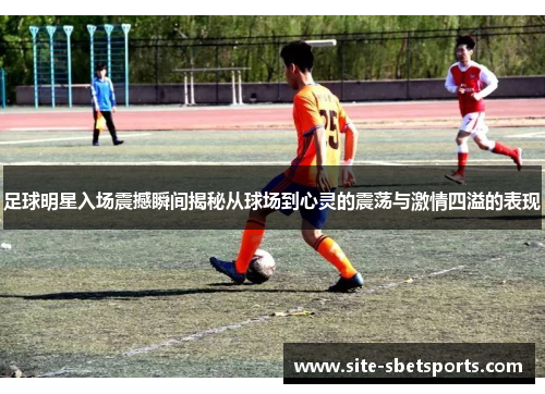 足球明星入场震撼瞬间揭秘从球场到心灵的震荡与激情四溢的表现