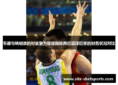 韦德与姚明谁的财富更为雄厚揭秘两位篮球巨星的财务状况对比